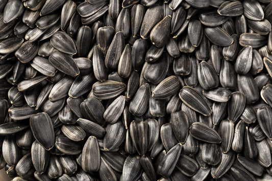 Sunflower Seeds